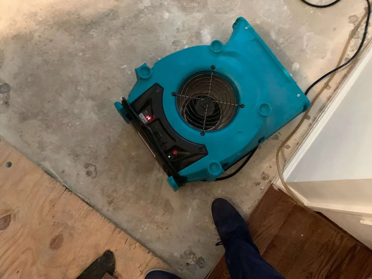 Air mover drying subfloor during Commercial Water Damage Restoration in Salisbury